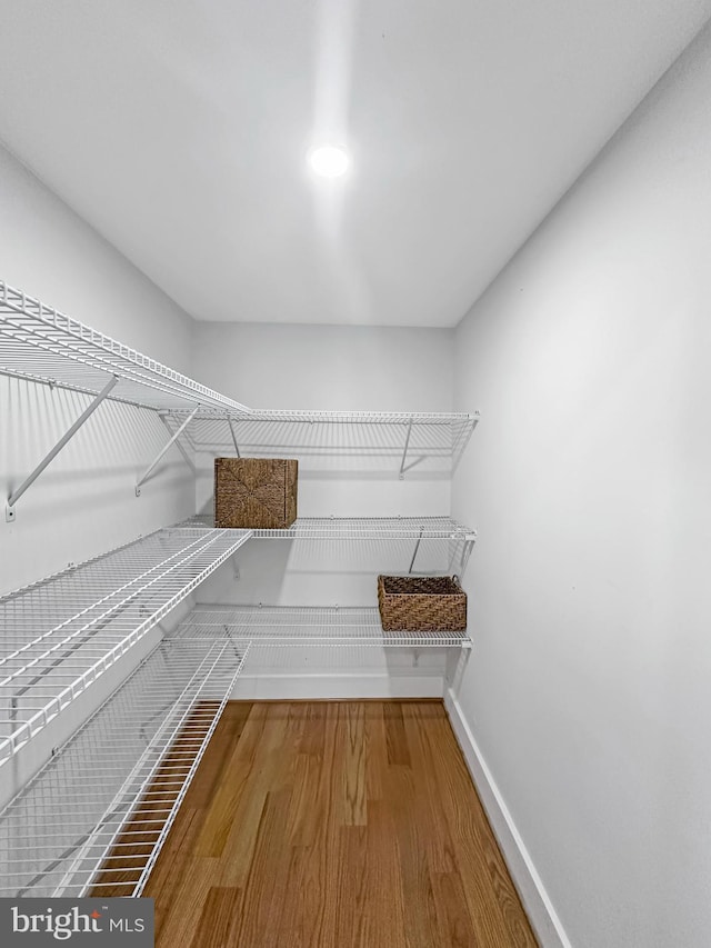 spacious closet featuring wood-type flooring