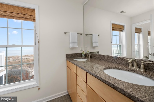 bathroom featuring hardwood / wood-style flooring and vanity