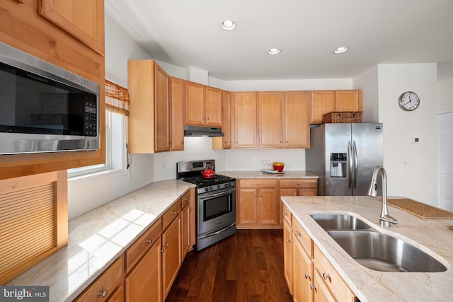 kitchen with stainless steel appliances, dark hardwood / wood-style flooring, and sink