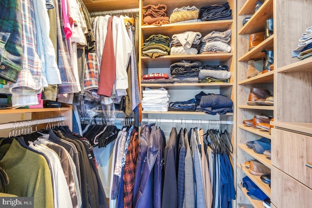 view of spacious closet