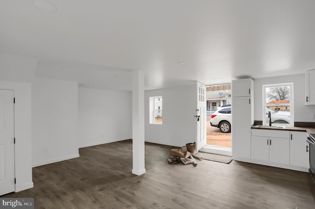 interior space with dark hardwood / wood-style flooring, plenty of natural light, and sink