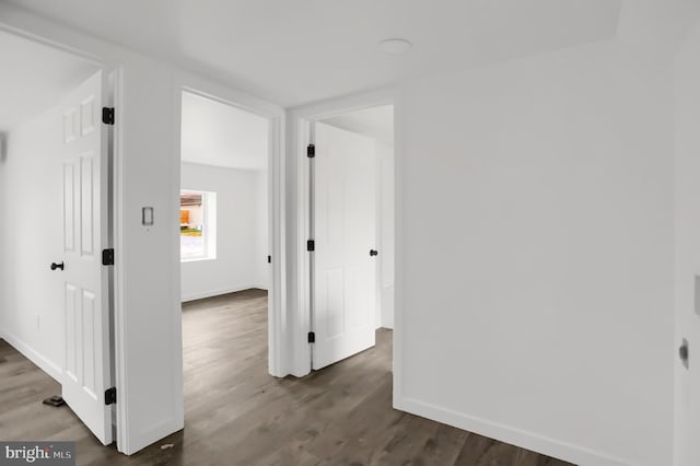 hallway featuring dark wood-type flooring