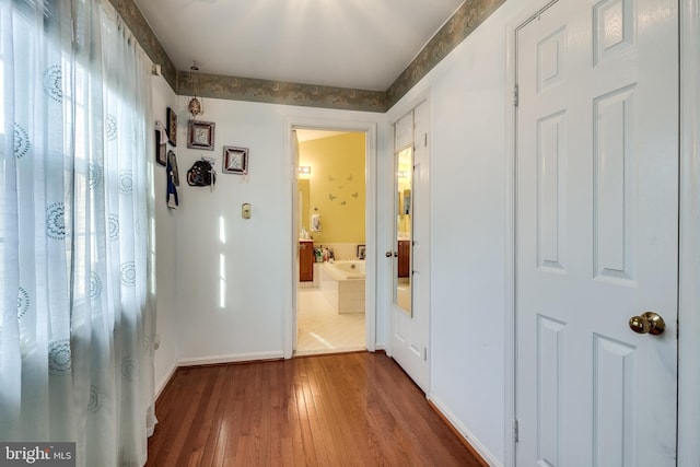 corridor featuring a wealth of natural light and wood-type flooring