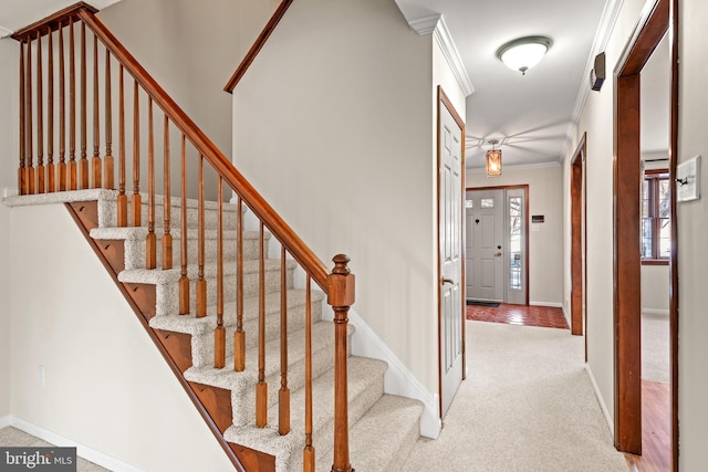 stairs featuring carpet flooring and crown molding