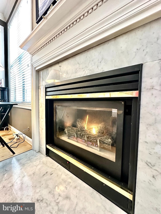 room details featuring a premium fireplace and ornamental molding