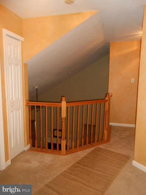 additional living space with carpet flooring and lofted ceiling