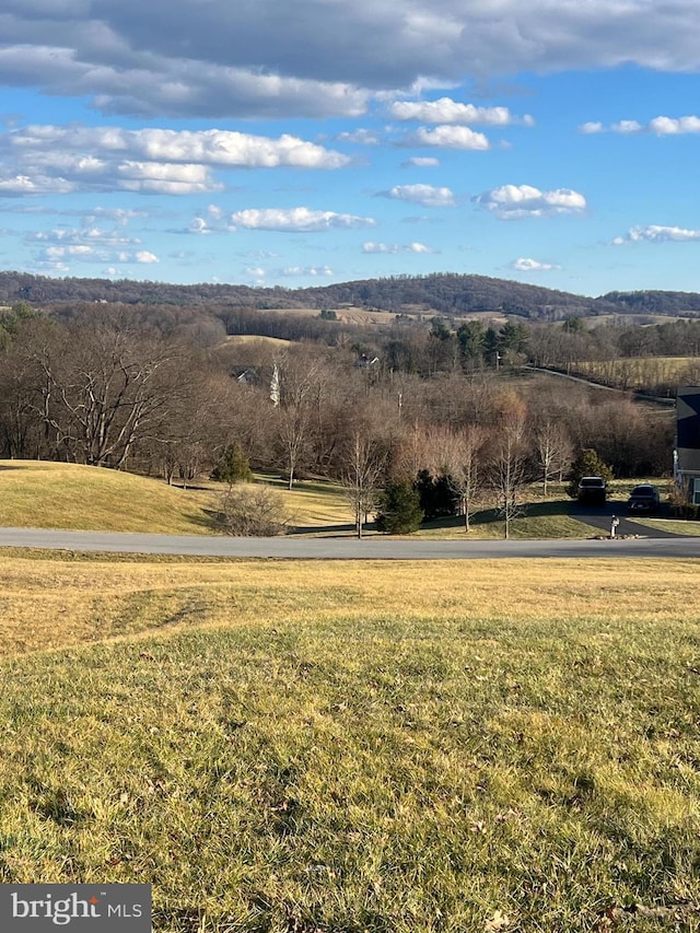 view of mountain feature