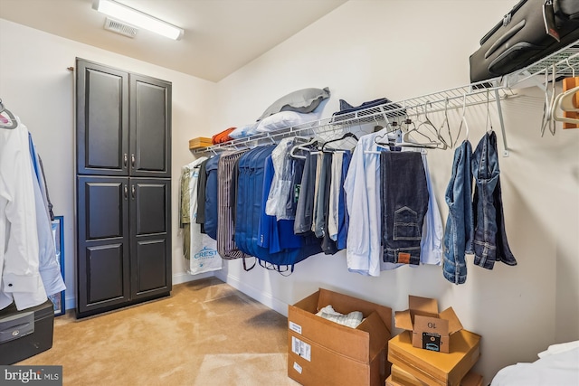 spacious closet with light colored carpet