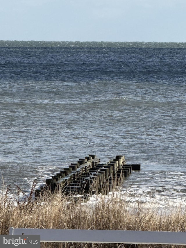 view of water feature with a dock