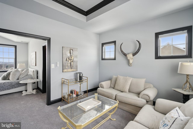 carpeted living room featuring crown molding