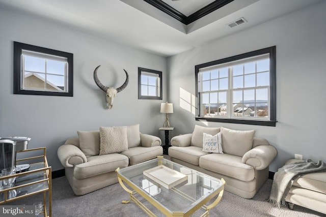 living room with carpet flooring and a tray ceiling