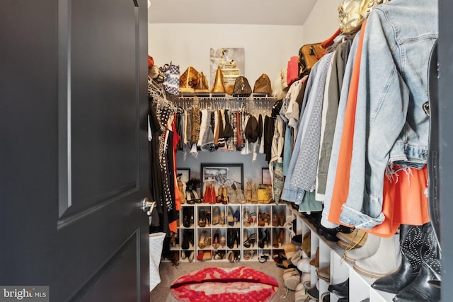 spacious closet with carpet flooring