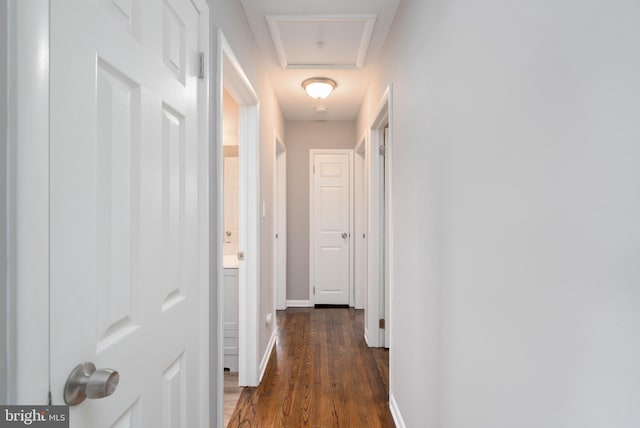 hall featuring dark hardwood / wood-style floors