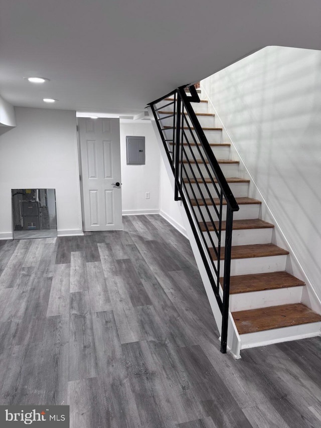 basement with electric panel and dark wood-type flooring