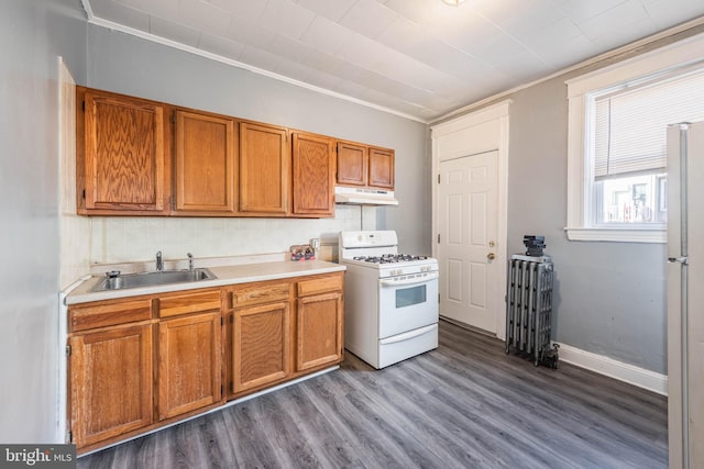 kitchen with hardwood / wood-style floors, white appliances, ornamental molding, and sink