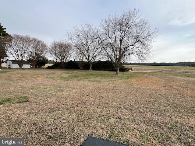 view of yard with a rural view