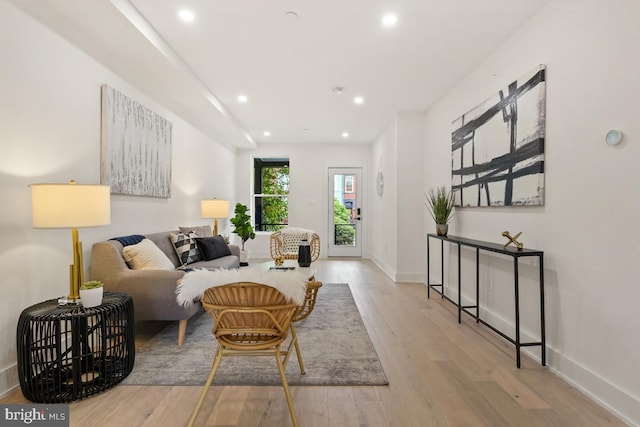 living room featuring light hardwood / wood-style flooring