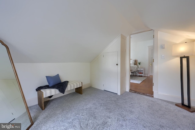 additional living space with carpet flooring and lofted ceiling