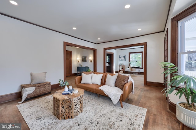 living room featuring hardwood / wood-style flooring and crown molding