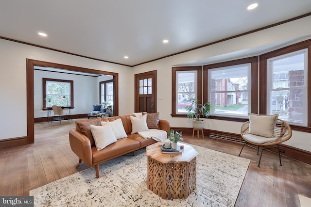 living room with wood-type flooring, plenty of natural light, and ornamental molding