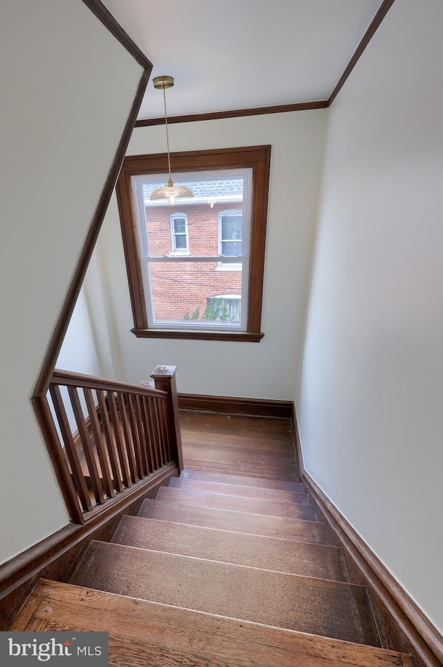 stairway featuring hardwood / wood-style flooring and ornamental molding