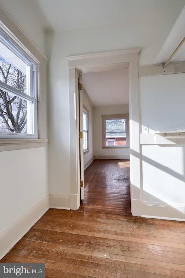 hallway with hardwood / wood-style flooring and a wealth of natural light