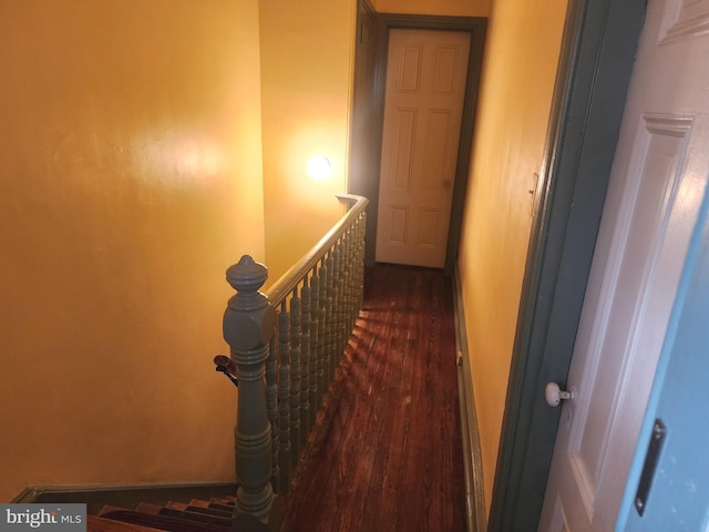 hall featuring dark hardwood / wood-style floors