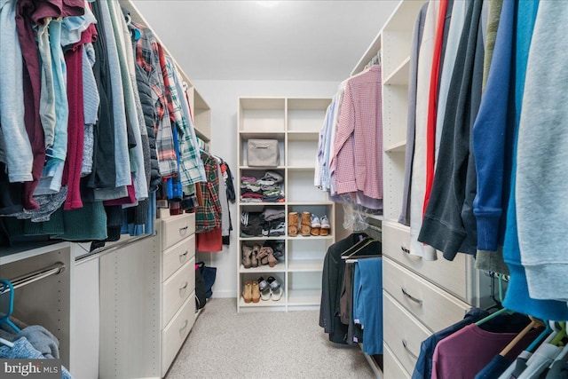 spacious closet with light colored carpet