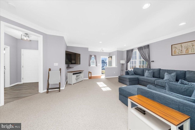 living room with carpet floors and crown molding