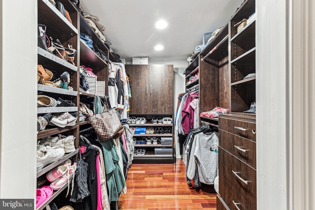 spacious closet with light hardwood / wood-style flooring