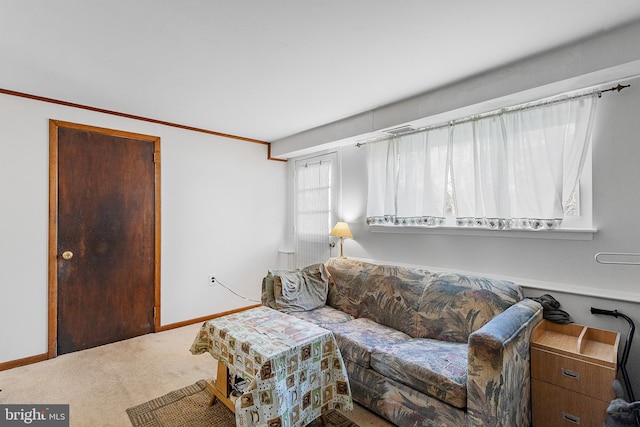 living room with crown molding and carpet