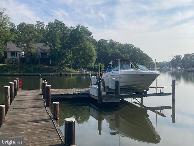 dock area with a water view