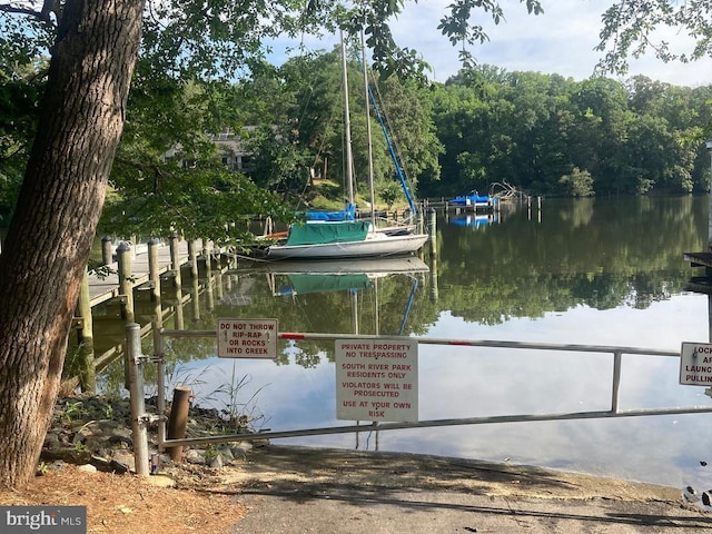 dock area with a water view