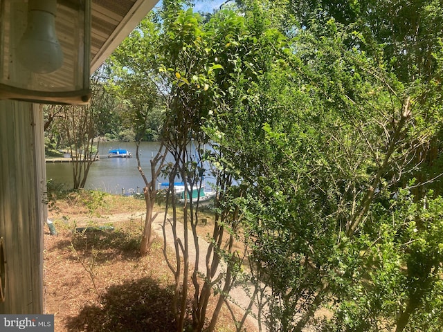 view of yard featuring a water view