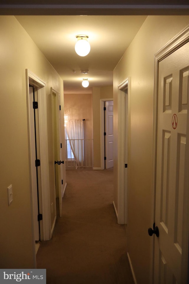 hallway featuring carpet floors