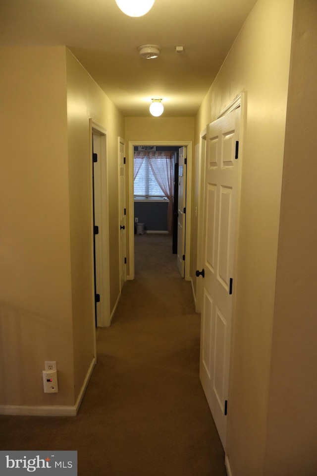 hallway with carpet floors