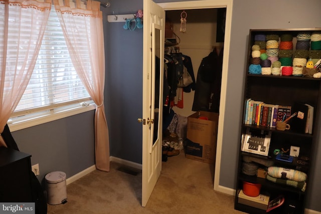 interior space featuring light carpet and a closet