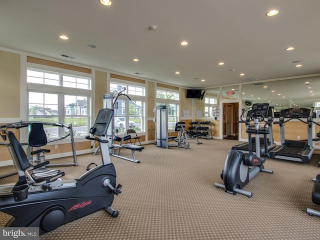 exercise room with a wealth of natural light and light carpet