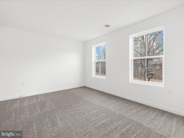 spare room with carpet and a healthy amount of sunlight