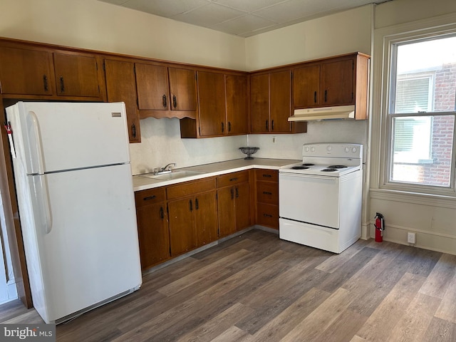 kitchen featuring dark hardwood / wood-style flooring, sink, and white appliances