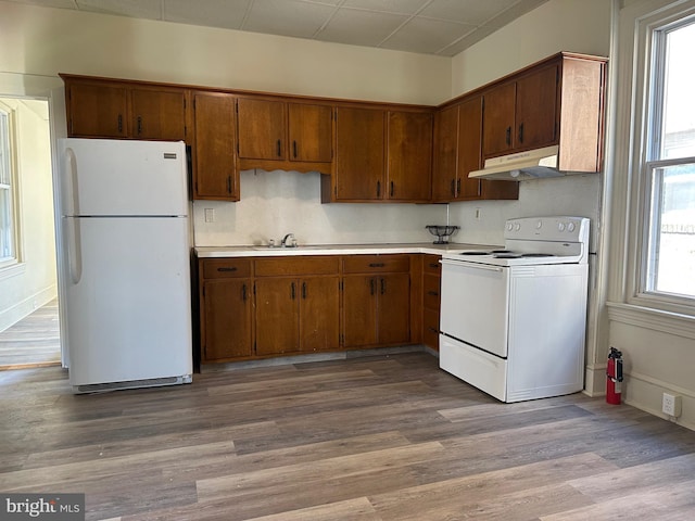 kitchen with light wood-type flooring, white appliances, plenty of natural light, and sink