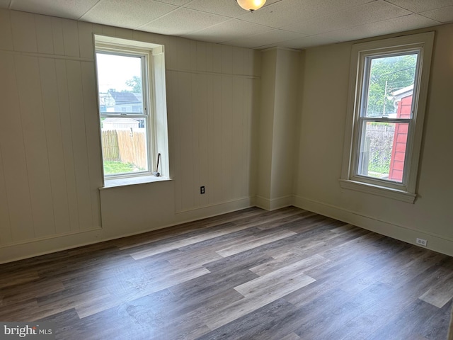 unfurnished room featuring a drop ceiling, light hardwood / wood-style floors, and a wealth of natural light