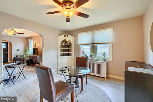 dining area with radiator, ceiling fan, a healthy amount of sunlight, and light wood-type flooring