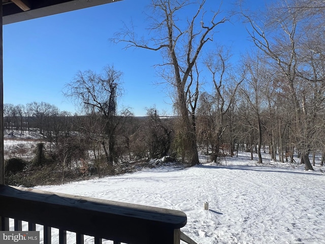 view of snowy yard