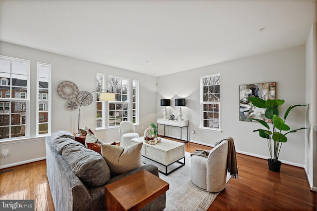 living room featuring a healthy amount of sunlight and wood-type flooring