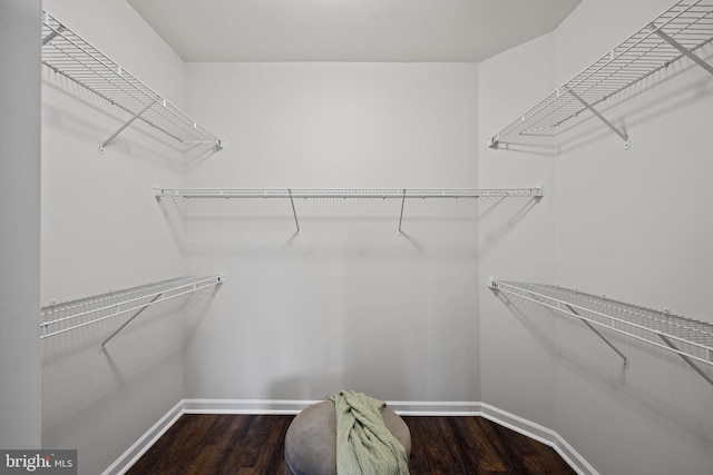 walk in closet with hardwood / wood-style flooring