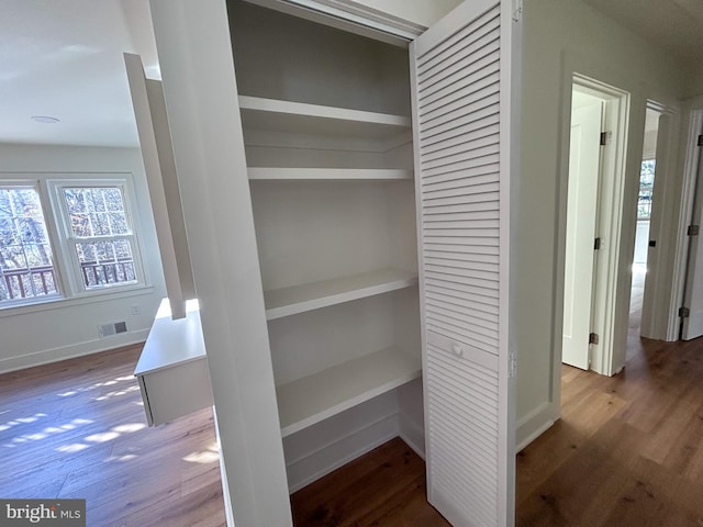 view of closet