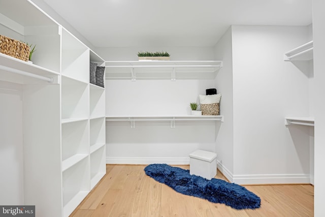 spacious closet with wood finished floors