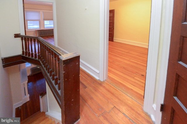 stairs with hardwood / wood-style flooring