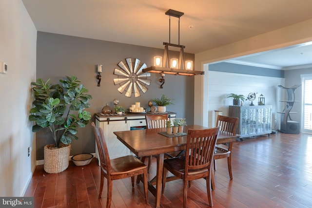 dining room with dark hardwood / wood-style flooring and ornamental molding